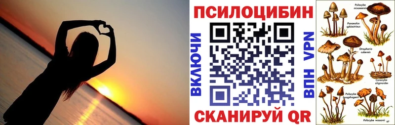 Псилоцибиновые грибы прущие грибы  Купить где  Котлас 