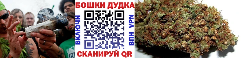 Купить  Котлас  Бошки марихуана Bruce Banner 